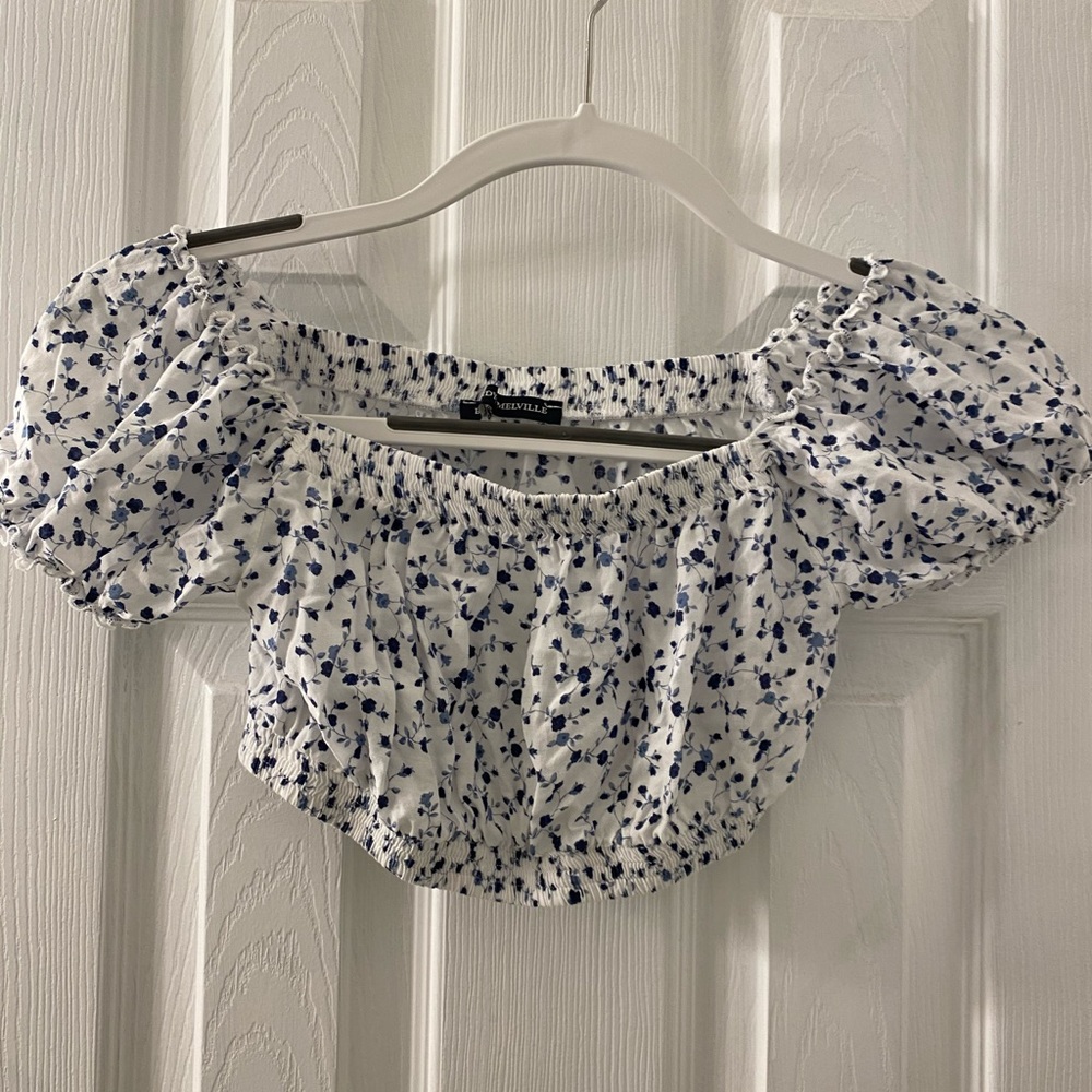 Brandy Melville White/Blue Floral Crop Top